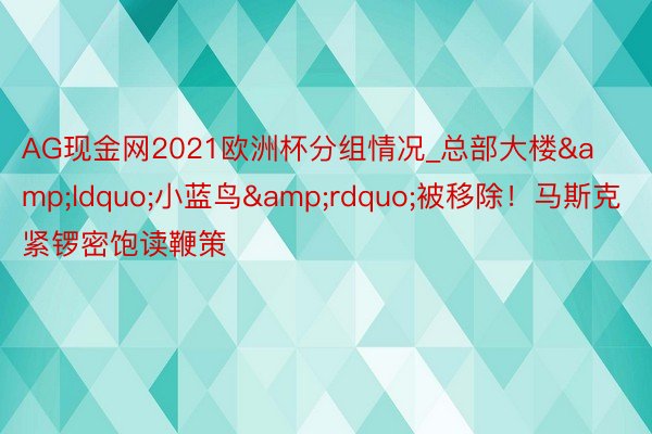 AG现金网2021欧洲杯分组情况_总部大楼&ldquo;小蓝鸟&rdquo;被移除！马斯克紧锣密饱读鞭策