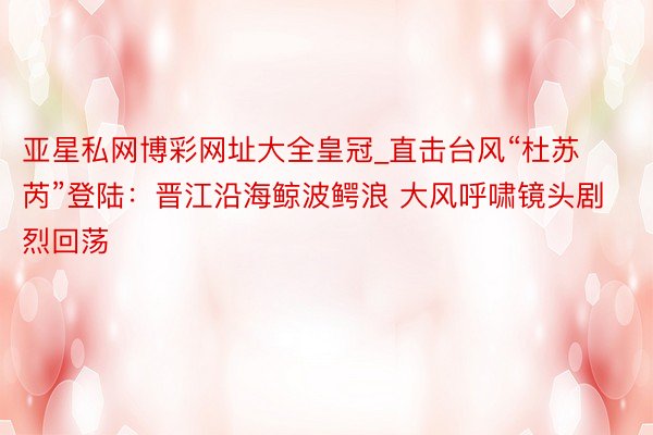 亚星私网博彩网址大全皇冠_直击台风“杜苏芮”登陆:晋江沿海鲸波鳄浪 大风呼啸镜头剧烈回荡